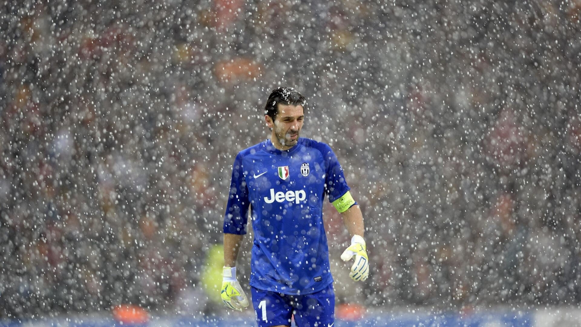 加拿大队观众热烈欢呼!蒂姆迎来十五赛季出色发挥观众掌声雷动